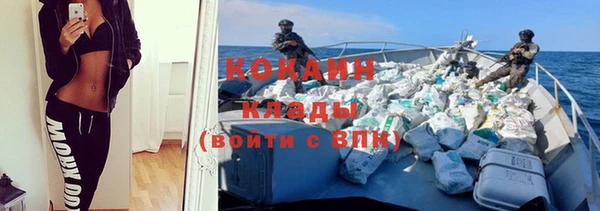 молекула духа Надым