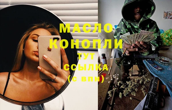 молекула духа Надым