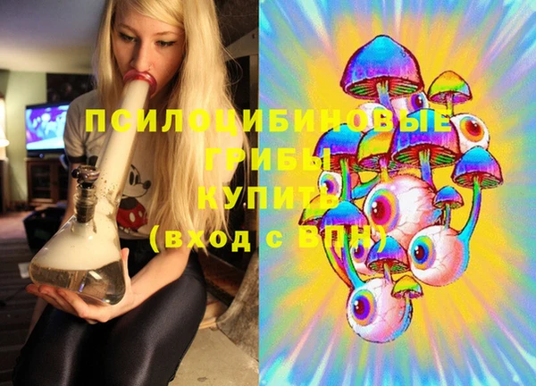 молекула духа Надым