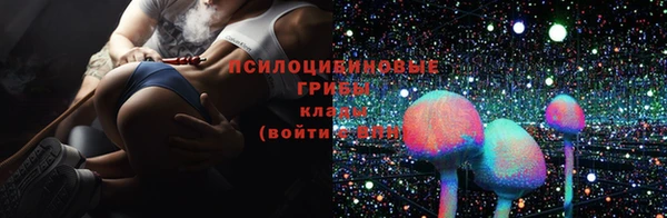 молекула духа Надым