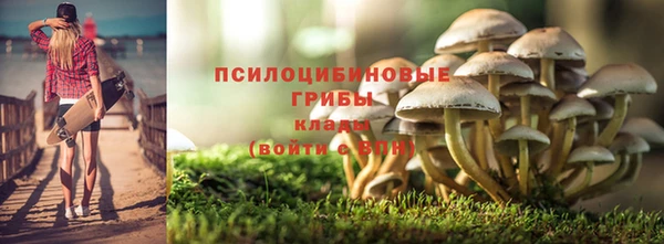 молекула духа Надым