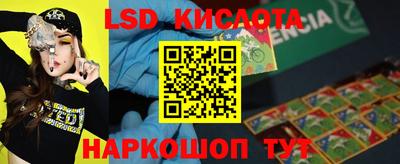 дживик Камышлов