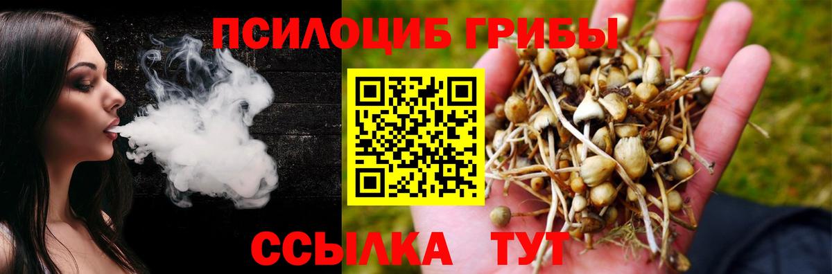 Галлюциногенные грибы Cubensis Похвистнево